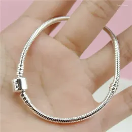 Charm Bracelets With Credentials Original Pure White Gold Colour Real Tibetan Silver Chain Charms For Women Allergy Free Jewellery