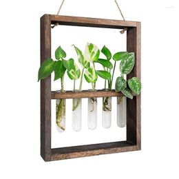 Vases Propagation Stations Hydroponic Flower Tube Rack Hanger Glass Test Tubes With 5 Wooden Stand Home Garden Wedding Decor