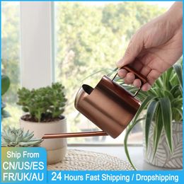 Sprayers Stainless Steel Watering Can Indoor Outdoor Long Spout Water Can Retro Gardening Tools Mini Watering Indoor House Garden Plants 231122