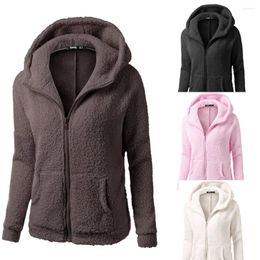 Women's Fur Coat Wool Winter Hooded Warm Outwear Women Sweater Zipper Cotton Long Fleece