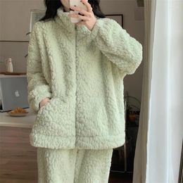 Women's Sleepwear Winter Long Plush High Neck Zipper Pure Lustful Style Thickened Coral Velvet Casual Cardigan Sports Home Wear