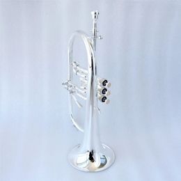 professional rotary flugelhorn as same of the picture