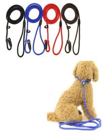 Adjustable Nylon Dog Leash Pet Rope Training Leash Adjustable Collar Leash Slip Lead Strap Adjustable Collar Pet Animals Rope Supp3778850