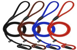Pet Dog Nylon Rope Training Leash Slip Lead Strap Adjustable Traction Collar Pet Animals Rope Supplies Accessories 130cm8854668