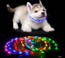 70cm LED Pet Dog Collar Rechargeable USB Adjustable Flashing Cat Puppy Collar Safety In Night Fits All Pet Silicone Dogs Collars B6218135