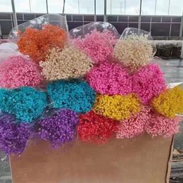 Decorative Flowers 100gNatural Fresh Dried Preserved Gypsophila Paniculata Eternal Breath Bouquets Valentine's Day Gift Wedding Home
