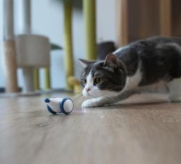 Cat Toys Cheerble Wicked Mouse Toy Automatic Running Intelligent And Rechargeable With Colorful Blink TailCat1648979