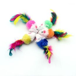 Cat Toys 10pcs Playing Non Toxic Pet Supplies Soft For Home Funny Garden Artificial Fleece Durable False Mouse Toy1
