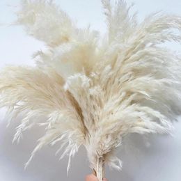 Decorative Flowers Cream Colour 60cm Pampas Grass Fluffy Dried Indoor Natural Decor Bouquet Boho Living Room Decoration Gift