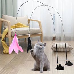 Dog Toys Chews Cats Feathers Wand Interactive Toy Kitten with Super Suction Cup Detachable 2 PCS Feather Replacements Cat Accesorios 231123