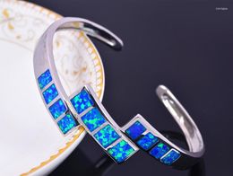 Bangle Wholesale & Retail Fashion Fine Blue Fire Opal Bangles Jewelry For Women BNT1522004