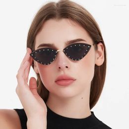 Sunglasses Borderless Cat Eye Women's Decorative Diamond Luxury Sun Glasses Women Outdoor Travel Eyewear UV400 Gafas De Sol