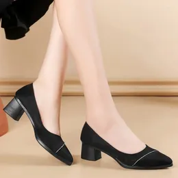 Dress Shoes Autumn Women's Pumps Black Velvet Square Heel Office Lady Fashion Pointed Toe Shallow Heels Daily Soft Sole Slip-on