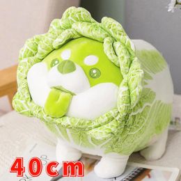 Decorative Flowers Cute Vegetables Dog Plush Sofa Toy Chinese Cabbage Fairy Fluffy Soft Cushion Pillow Stuffed Animal Children's Doll Girl