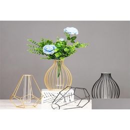 Vases Vases Nordic Simple Golden Glass Hydroponic Plant Flower Iron Geometric Test Tube Metal Holder Modern Home Decor 2209278971800 D Dhlck