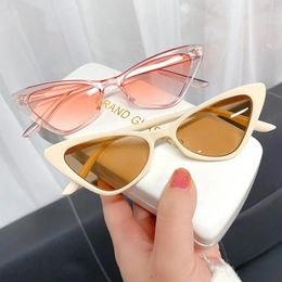 Sunglasses Retro Cat Eye UV400 Shades Vintage Small Triangle Sun Glasses Hip Hop Eyeglasses Women Female Trendy Eyewear