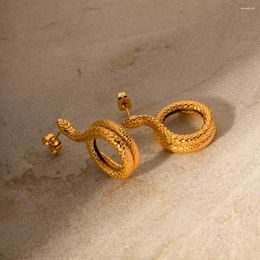 Dangle Earrings Fish Scale Pattern Personality Snake For Women Punk Unisex Jewelry