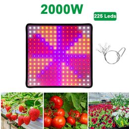 LED Plant Grow Light Professional Full Spectrum Grow Lights for Indoor Plants Seedlings Growing and Flowering