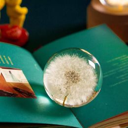 Novelty Items Real Dandelion Crystal Glass Resin Lens Ball Natural Plants Specimen Feng Shui Flowers Christmas Love Gift Home Deco2845