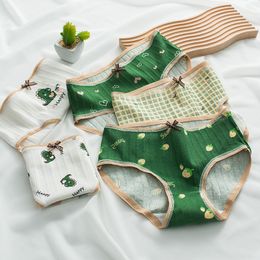 Women's Panties 5PCS/Set Cute Cartoon Cotton Underwear Women's Panties Dinosaur Print Briefs For Girls Sexy Pantys Underpants Intimates Lingerie 230424