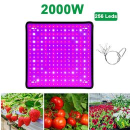 Plant Light LED Grow Bulb Full Spectrum Phyto Lamp 1000W 2000w LED Fitolamp For Indoor Flowers Seedlings Grow Box