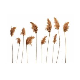 Decorative Flowers & Wreaths 10 Pcs Art Decor Pampas Grass Wedding Flower Bunch Reed Natural Dried Plants For Background Wall Decoration