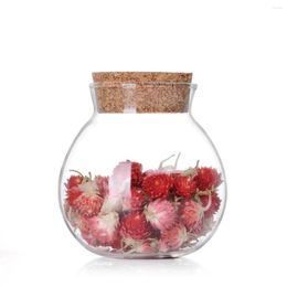 Storage Bottles Transparent Heat-Resistant Sealed Tank Cork Stopper Mason Jar Food Grains Tea Can Lead-Free Glass Bottle Container