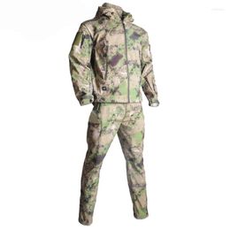 Hunting Jackets TAD Men's Sports Jacket Suit Tactical Military Camo Outdoor Hiking Mountaineering Waterproof Windproof Field