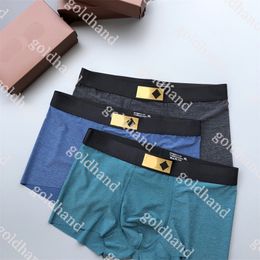 Designer Tide V Printed Mens Underpants Luxury Summer Ice Silk Breathable Boxers Fashion Brand Men Sexy Underwear 3pcs/Box
