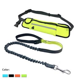 Dog Collars Leashes Pet Dog Leash Running Full Function Belt bag Harness Collar Jogging Lead Adjustable Waist Leashes Reflective Traction Belt Rope 231124