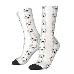 Men's Socks Funny Crazy Compression Italian Head Sock For Men Hip Hop Vintage Geryhound Greyhounds Dog Happy Seamless Pattern Boys Crew