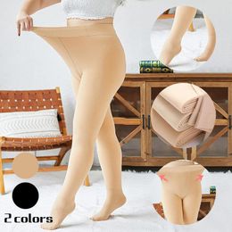 Women Socks Women's Stockings Colour 200G Pantyhose Solid Bottoming Tights Dress For