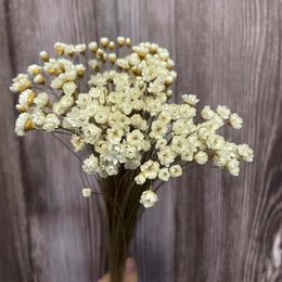 Christmas Decorations About 150PCS061CM Head Real Dried Natural White Little Star Flowers Dry Mini Daisy Bouquet For Resin Jewellery Home Decor 231123