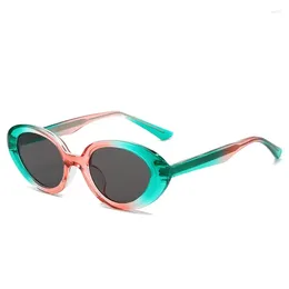 Sunglasses Europe And The United States Oval Flat Core Ins Trend Hip Hop Female TR Small Frame Plain Glasses