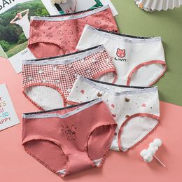 Women's Panties 5Pcs/Set Cartoon Bear Underwear Cotton Printing Women's Panties Cute Girl Briefs Soft Breathable Underpants Sexy Lingerie 230424