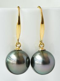 Stud Earrings 10-11mm Round South Sea Natural Black Pearl Drop Earring