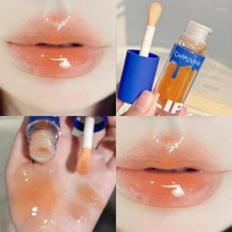 Lip Gloss Transparent Oil Glass Lipgloss Fragrance Non-sticky Moisturizes Lip-Tint Lipplumper Lips Care Serum Primer Big Brush Head