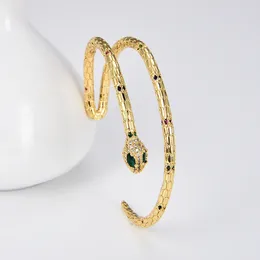 Bangle Bangles For Women Men Jewelry Brass Bracelet 14K Gold Silver Color Paved Zircon Luxury Accessories Wholesale