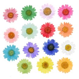 Christmas Decorations 120pcs Pressed Press Dried Daisy Dry Flower Plants For Epoxy Resin Pendant Necklace Jewellery Making Craft DIY Accessories 231123