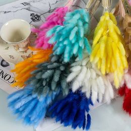 Christmas Decorations 100pcs Real Natural Floral Dried Flower Bunny Rabbit Tail Grass Mixed Bouquet Colourful Lagurus Ovatus for Po Props Decoration 231123