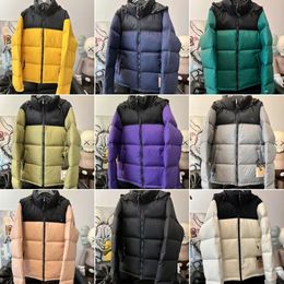Puffer jacket North the face jacket Down Coat Winter Jacket Designer Jacket Mens jacket Womens Jacket Warm Windproof embroidered alphabet north coat parka coat