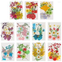 Decorative Flowers DIY Crafts Filling Materials Jewellery Making Stickers Beauty Decal Dried Resin Filler Mould Flower