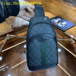 Designer chest bag mens Women Crossbody bag Sling Shoulder bags satchels Messenger bags outdoor Hobos Purse Mobile phone storage Man wallet chest pack