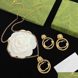 Brincos colar 2023-vintage leão pingente designer jóias conjuntos de ouro dupla letra longa colares com caixa presente de aniversário drop delive dhdpa