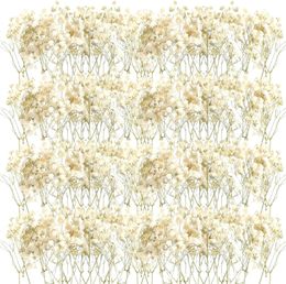 Christmas Decorations 50pcs Mini Dried Baby Breath Flower Gypsophila Ivory Natural Flowers for Vase Wedding Home Office Party Garden Card Making Decor 231123