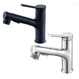 Bathroom Sink Faucets Copper Basin Pull Faucet Household Wash And Cold Retractable Can Paint