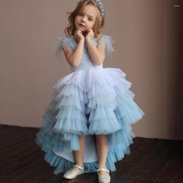 Girl Dresses Tiered Flower A-Line O-Neck Short Sleeve Sequined Appliques Front Long Back Puffy Tulle Kids Pageant Dress