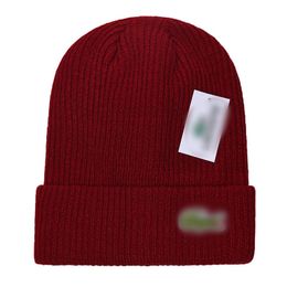 NEW Fashion designer 2023 autumn and winter new knitted wool hat luxury knitted hat Z-10