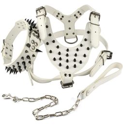 Spiked White Leather Dog Harness Collar and Walking Leash Set Heavy Duty For Boxer Pitbull Mastiff2090964