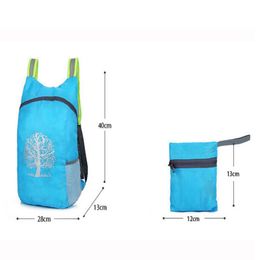 Outdoor Bags Portable Comfortable Durable Waterproof Folding Packable Lightweight Travel Hiking Backpack Daypack